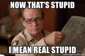 Thats Stupid 1
