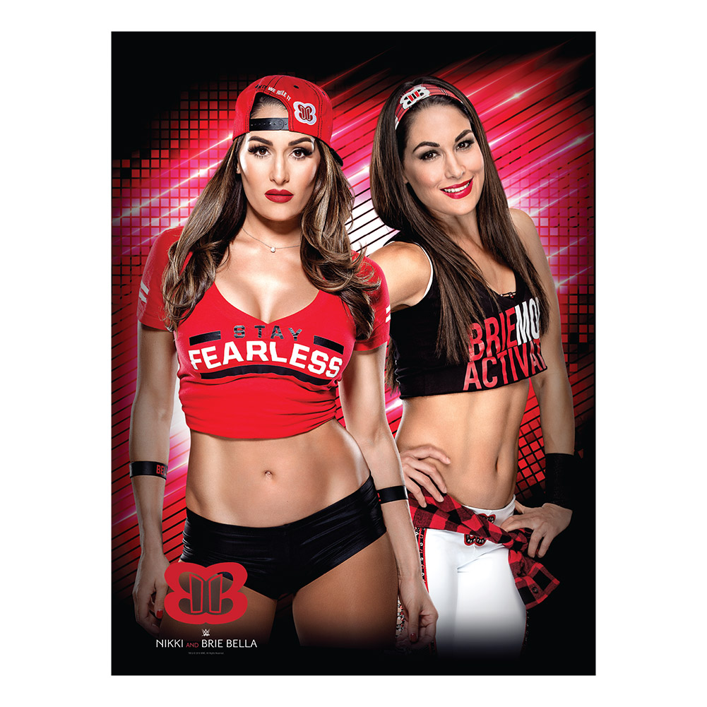 Bella Twins