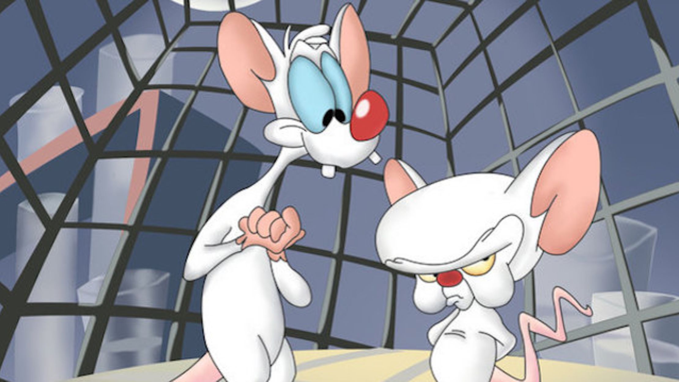 Pinky &amp; the Brain