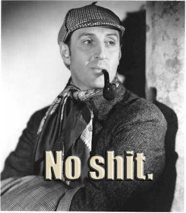 no-shit-sherlock