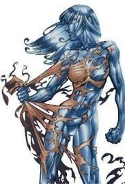 Husk