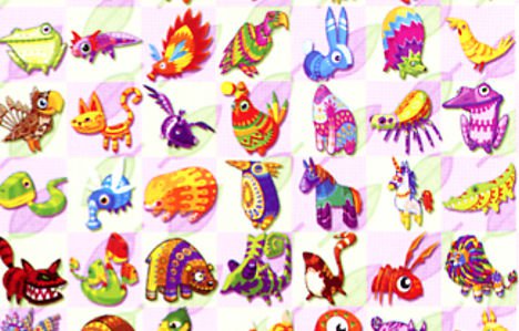 Pinata Species
