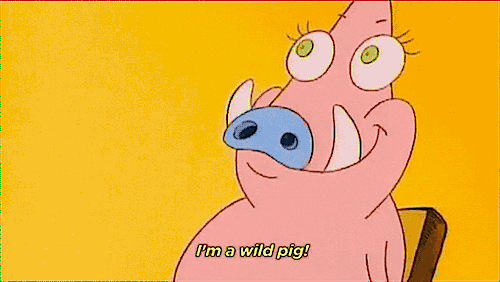 tumblr_nja8ybjott1tglg2co3_500