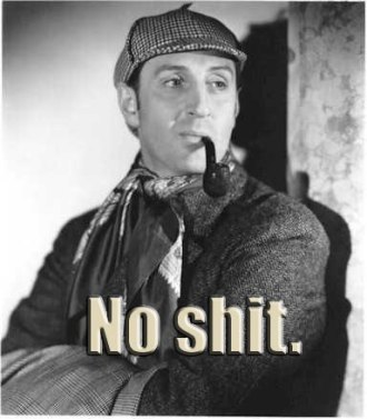 no-shit-sherlock