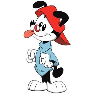 Wakko Warner 2