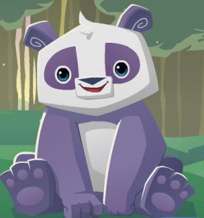 Animal Jam Panda